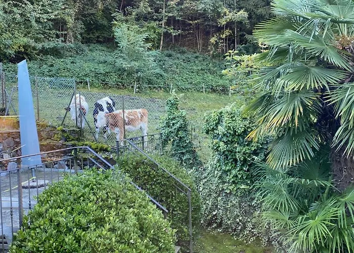 Апартаменты Fontanedo